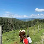 Tatil Evi Forsthaus Gray 4