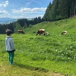 Tatil Evi Forsthaus Gray 4 Sankt Veit an der Glan