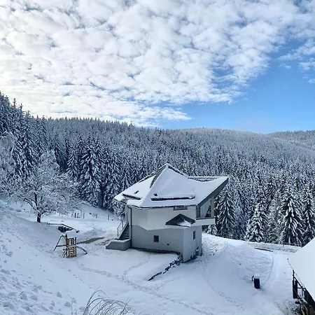 Vakantiehuis Forsthaus Gray 4 *