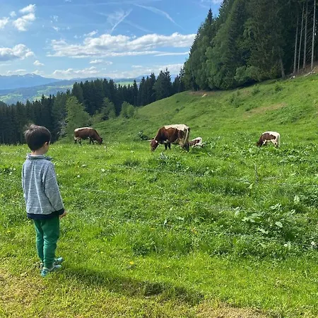 Tatil Evi Forsthaus Gray 4 Sankt Veit an der Glan