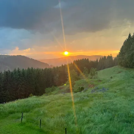 Dom wakacyjny Forsthaus Gray 4 *