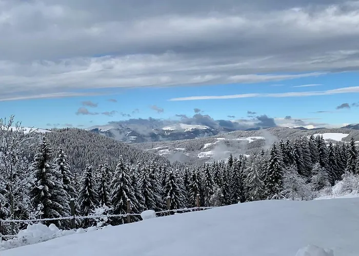 Forsthaus Gray 4 Vakantiehuis