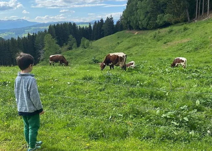 Dom wakacyjny Forsthaus Gray 4 St. Veit an der Glan