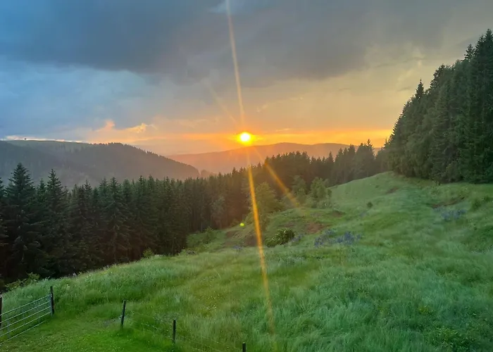 Vakantiehuis Forsthaus Gray 4 *